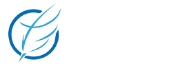 飞领知识系统